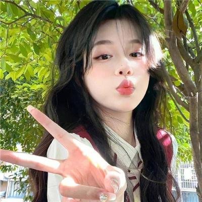 哈兰·科本的庇护所